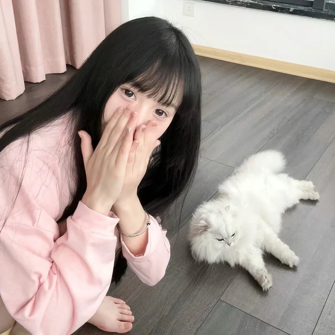 甄嬛爱不停