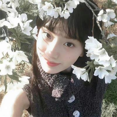 神探飞机头