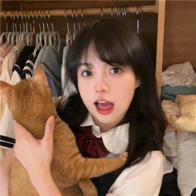 熊猫回家路